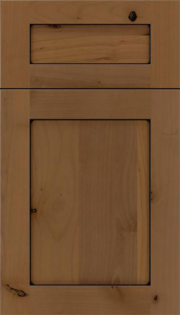 Salem 5pc Alder shaker cabinet door in Tuscan with Black glaze