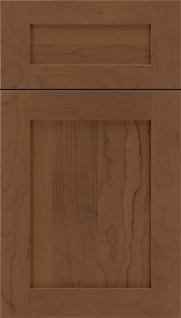Salem 5pc Maple shaker cabinet door in Toffee
