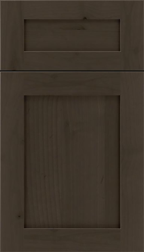 Salem 5pc Alder shaker cabinet door in Thunder